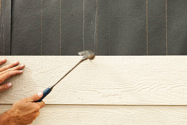 Best Historical Building Siding Restoration  in Okemos, MI